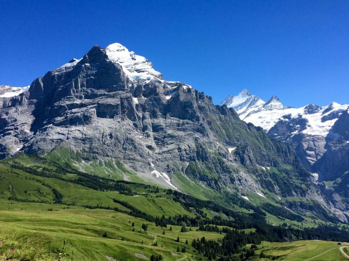 Wetterhorn, Eiger, Jungfrau, Amazing! Lägenhet Grindelwald Exteriör bild