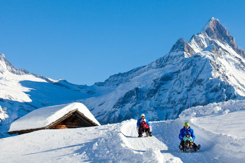 Wetterhorn, Eiger, Jungfrau, Amazing! Lägenhet Grindelwald Exteriör bild
